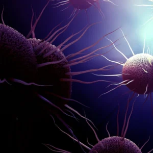 Why Should We Care about STDs?